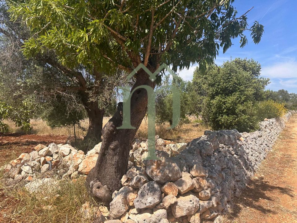 Helårsgrund i Carovigno, Brindisi - foto 3